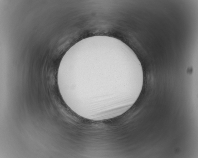 X0000113941250200910231936