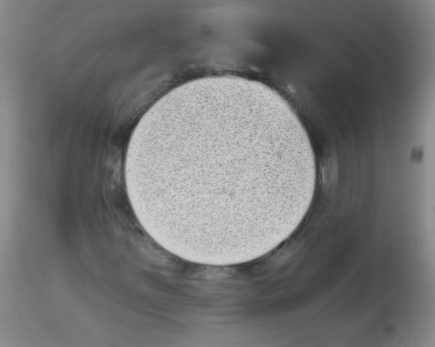 X0000113941251200910231936