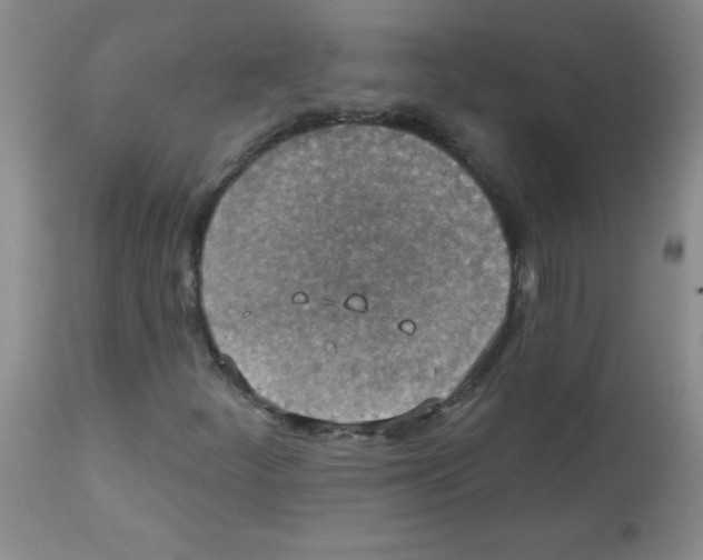 X0000113941252200910231936