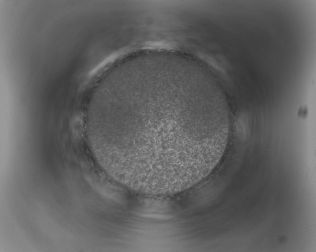 X0000113941254200910231936