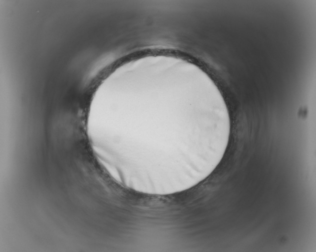 X0000113941255200910231936