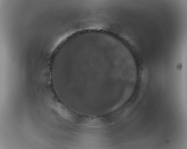 X0000113941256200910231936
