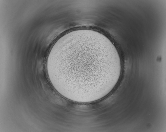 X0000113941257200910231936