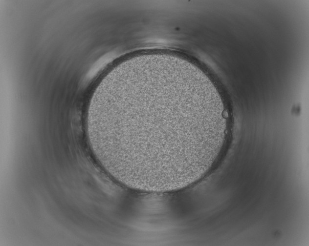 X0000113941259200910231936