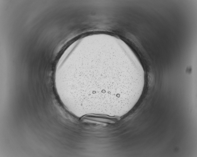 X0000113941260200910231936