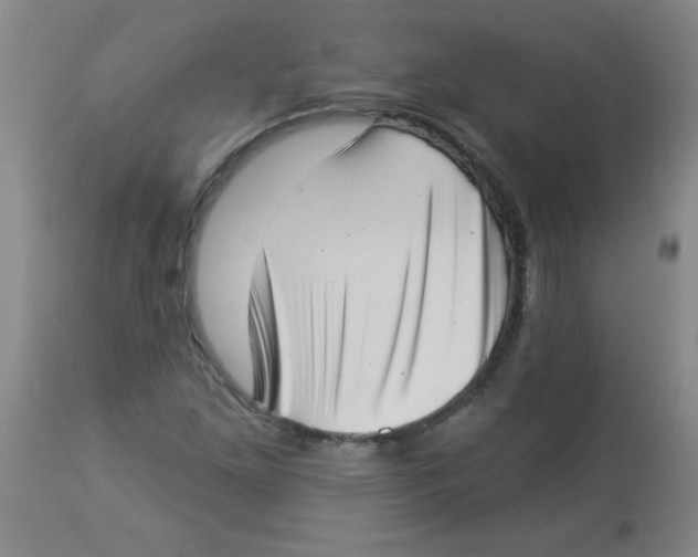 X0000113941261200910231936