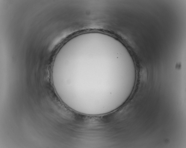 X0000113941262200910231936