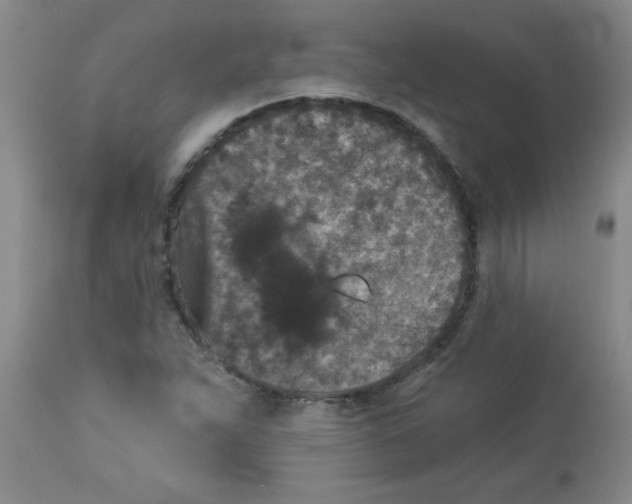 X0000113941263200910231936