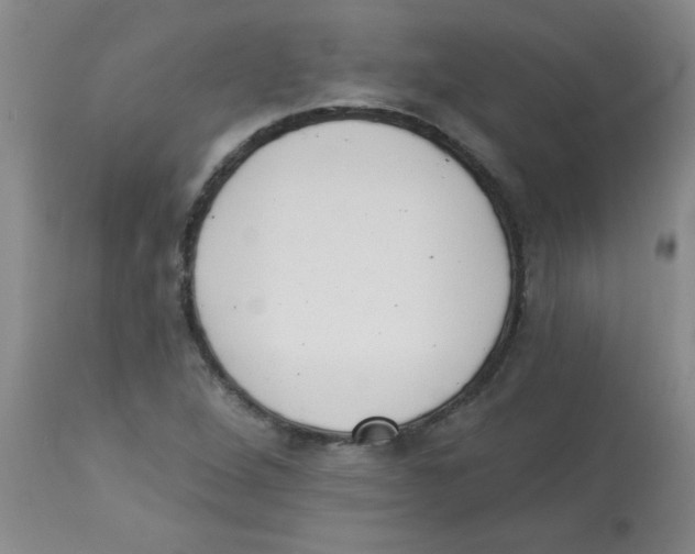 X0000113941264200910231936