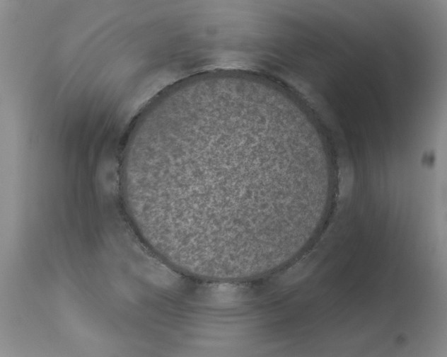 X0000113941266200910231936
