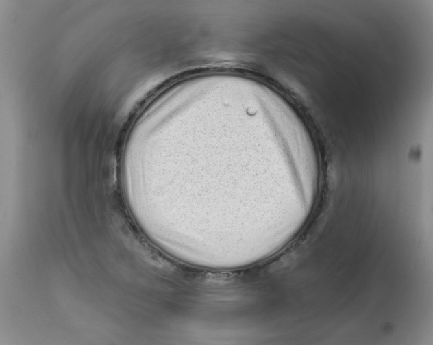 X0000113941267200910231936