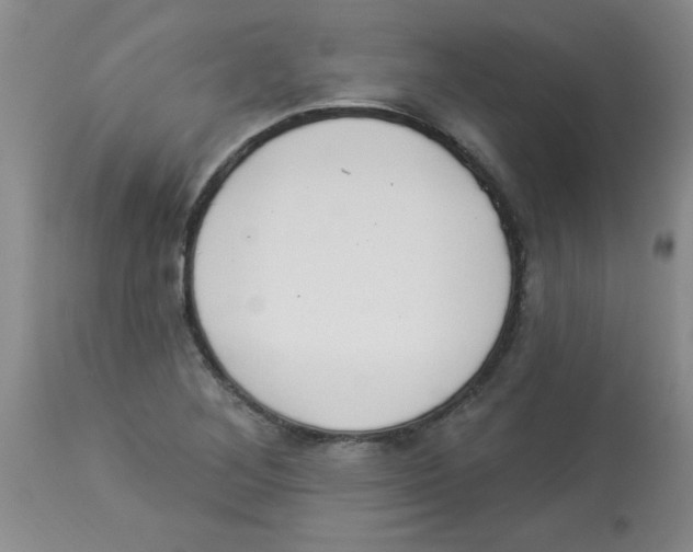 X0000113941268200910231936