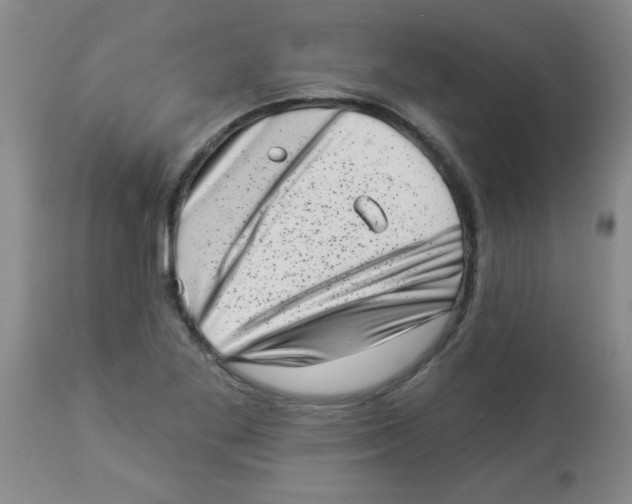 X0000113941269200910231936