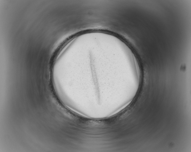 X0000113941270200910231936
