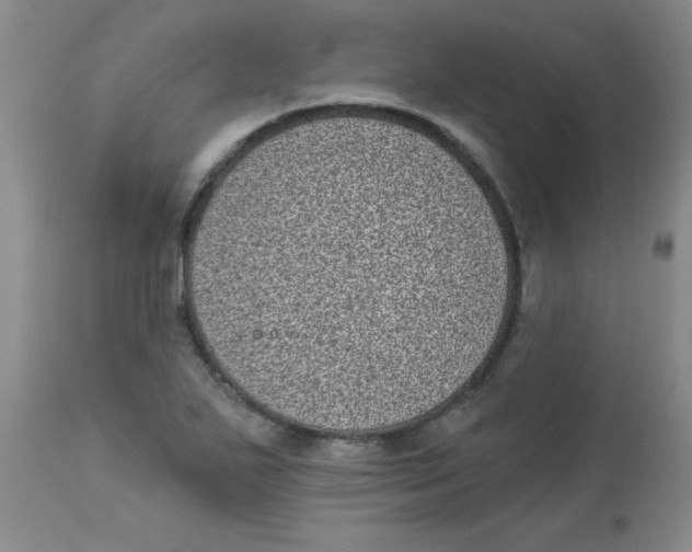 X0000113941271200910231936