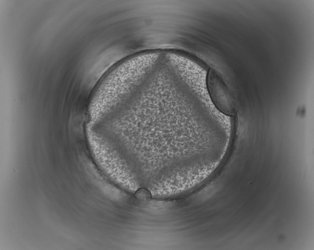 X0000113941273200910231936
