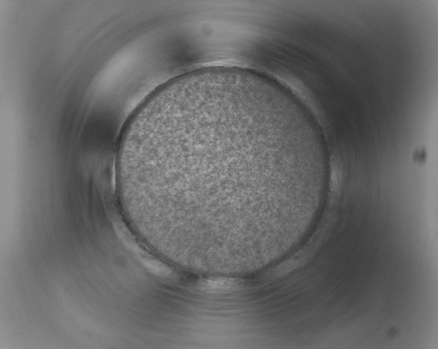 X0000113941274200910231936