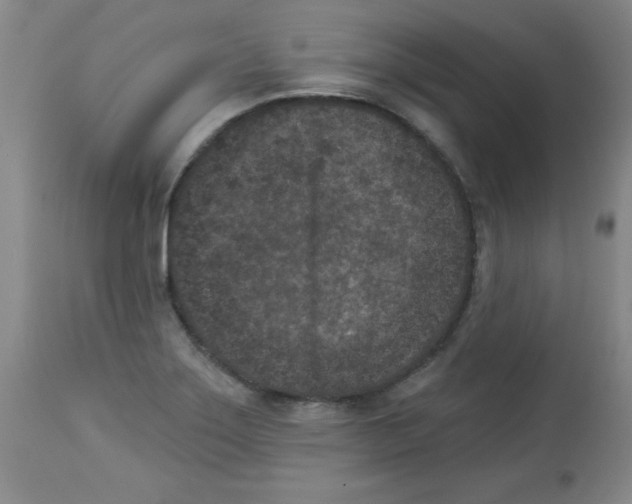 X0000113941275200910231936