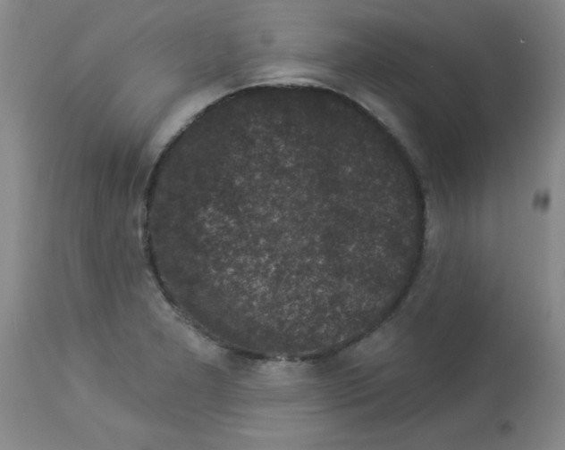 X0000113941277200910231936