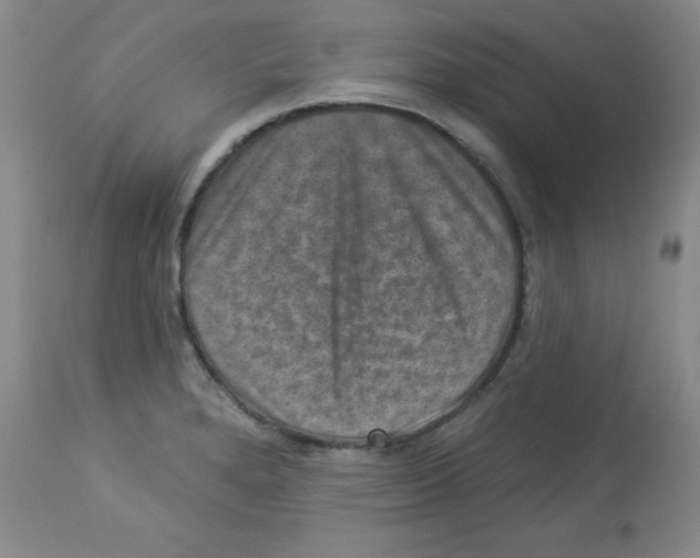 X0000113941280200910231936