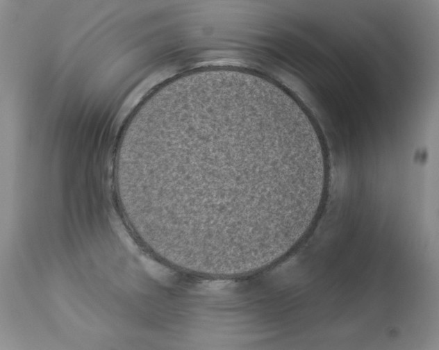 X0000113941282200910231936