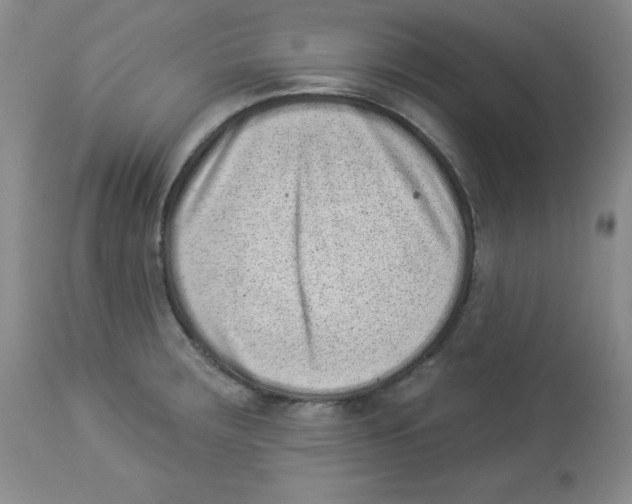 X0000113941283200910231936