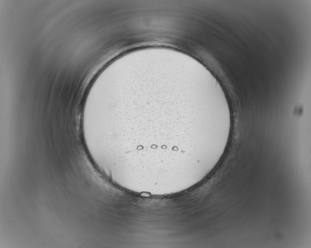 X0000113941284200910231936