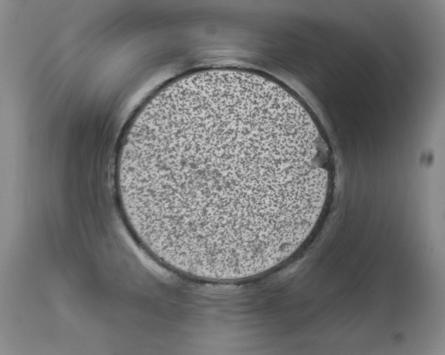 X0000113941285200910231936