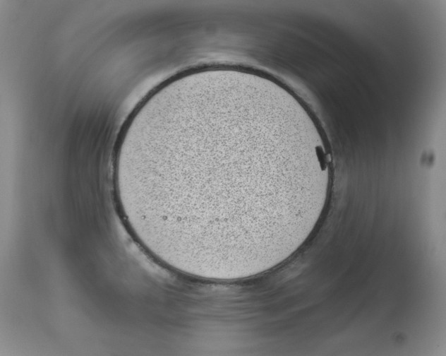 X0000113941287200910231936