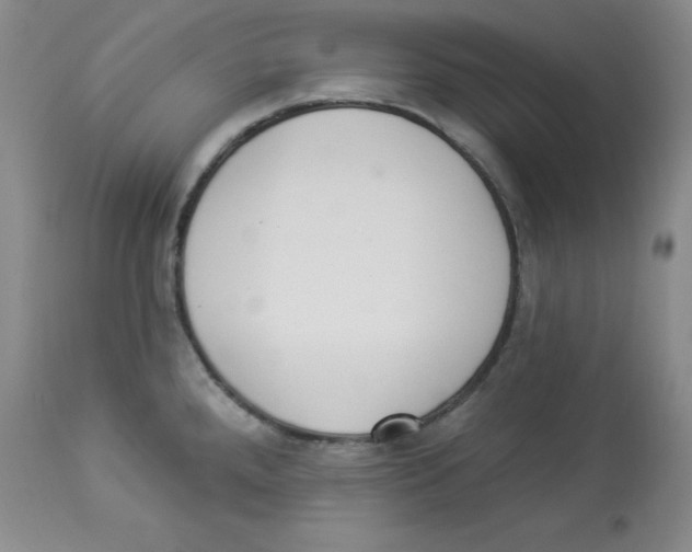 X0000113941288200910231936