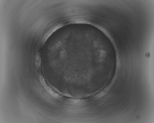X0000113941289200910231936