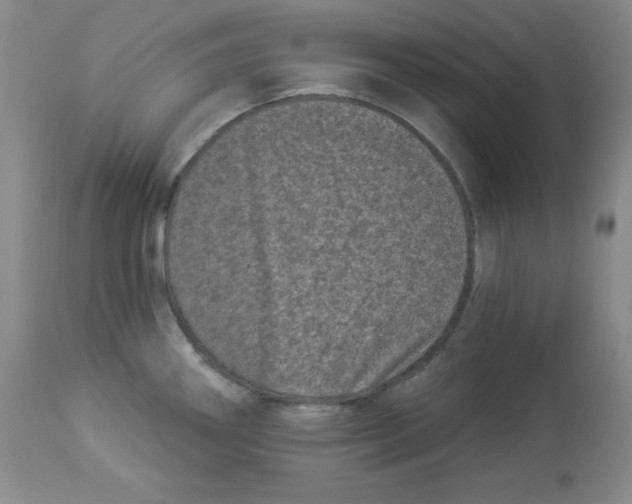 X0000113941290200910231936