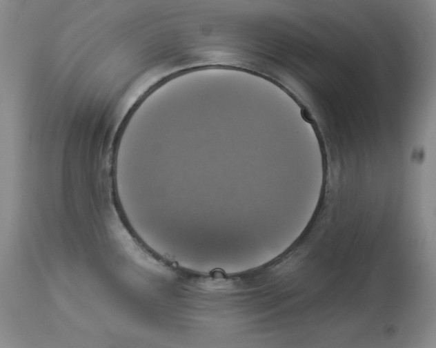 X0000113941291200910231936