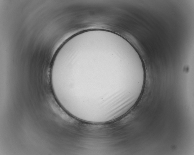 X0000113941292200910231936