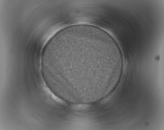 X0000113941294200910231936