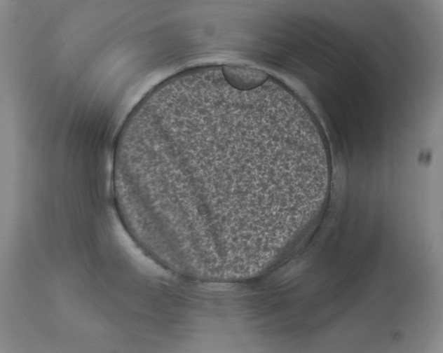 X0000113941295200910231936