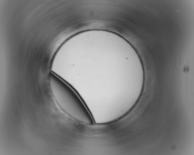 X0000113941296200910231936
