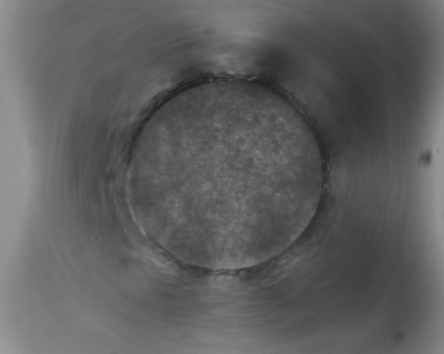 X0000113941297200910231935