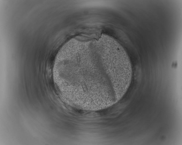X0000113941298200910231935