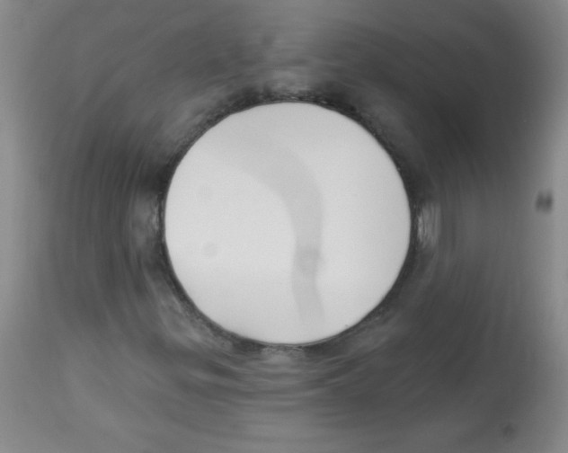 X0000113941299200910231935