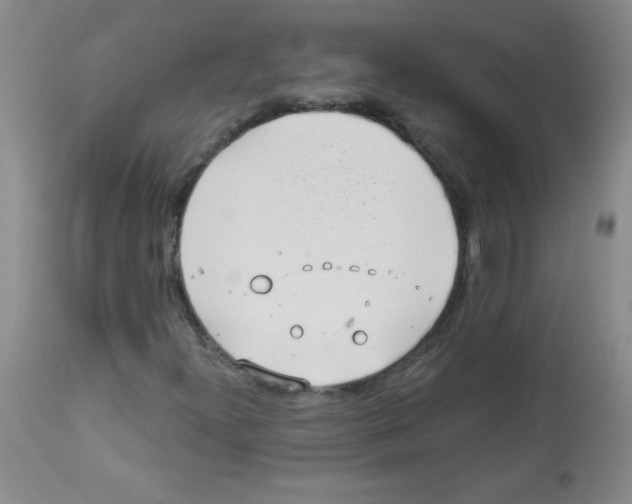 X0000113941300200910231935