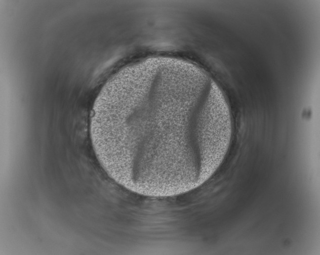 X0000113941301200910231935