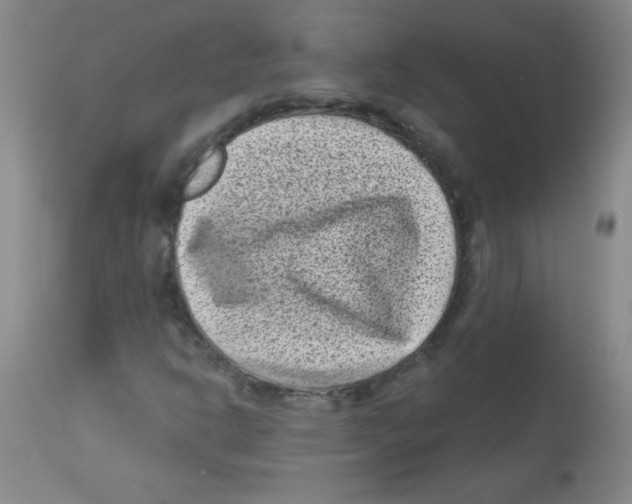 X0000113941302200910231935