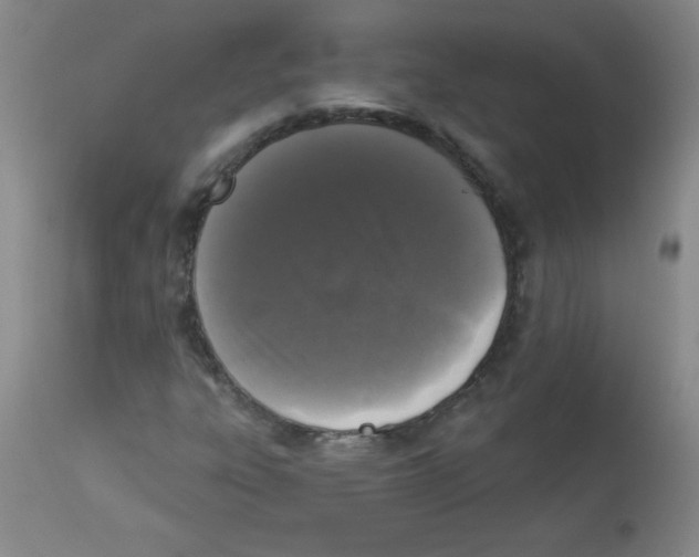 X0000113941303200910231935