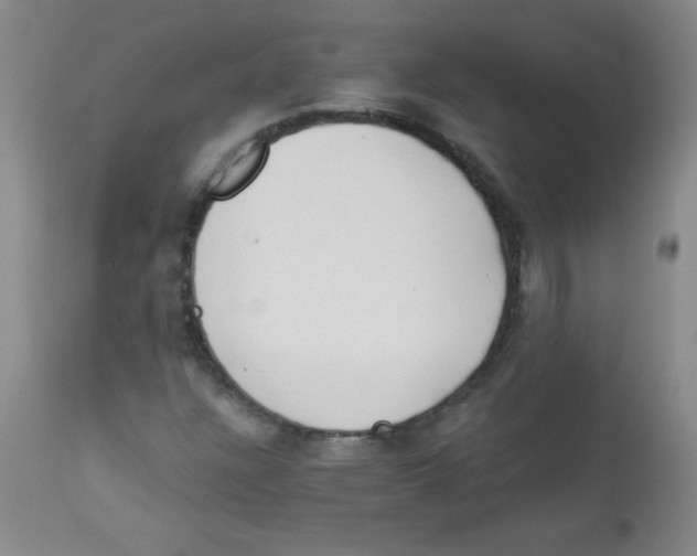 X0000113941304200910231935