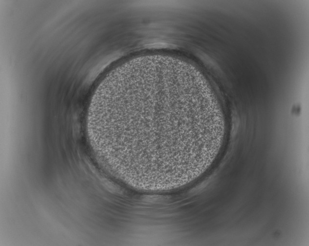 X0000113941305200910231935