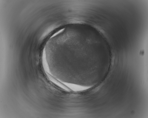 X0000113941306200910231935