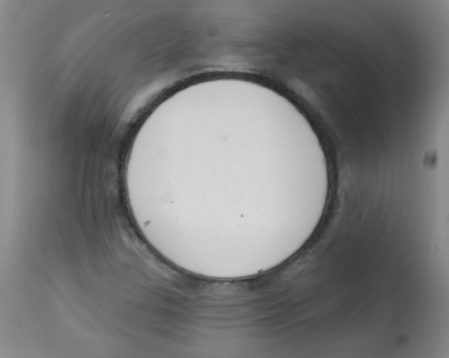 X0000113941307200910231935