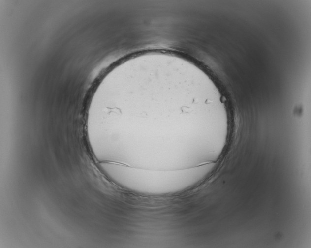 X0000113941308200910231935