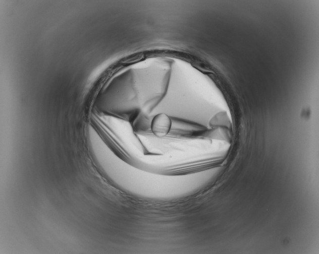 X0000113941310200910231935